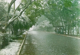 1990 - Neve no campus